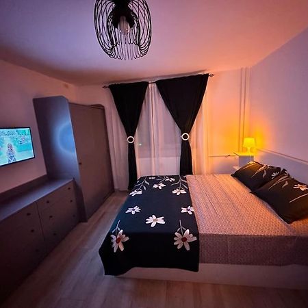 Luna Apartament Διαμέρισμα Τιμισοάρα Εξωτερικό φωτογραφία